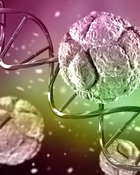 Hormone Balance/Fertility